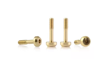 S-136A1 Suspension brass screw M2 flat head 4.5mm x 9.5mm – SHORT (x4) S-136A1 Suspension brass screw M2 flat head 4.5mm x 9.5mm – SHORT (x4)