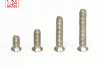 SC-5123 Steel phillips screws sorted M2 x 4,6,8,10,12mm